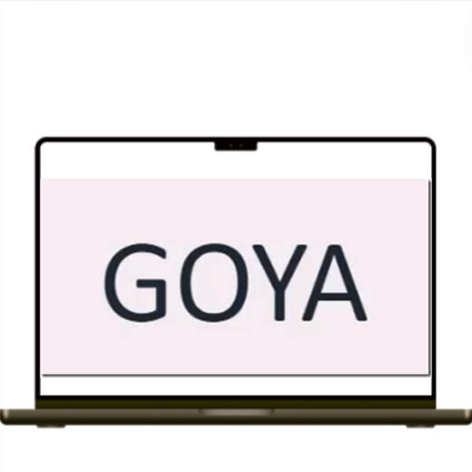 Goya Advanced Course